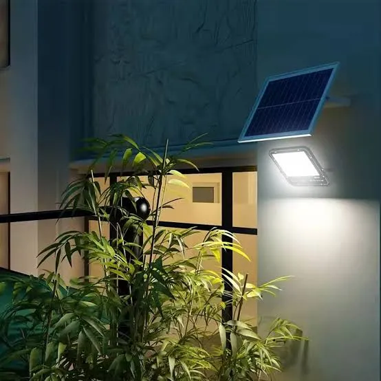 Outdoor Flood Lights